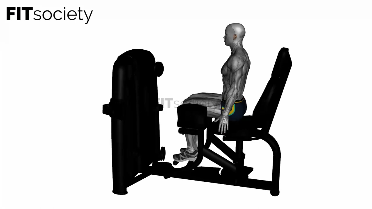 Seated Hip Abductor Machine