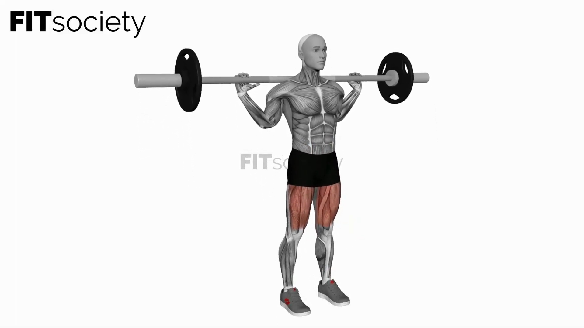 Barbell Narrow Stance Squat