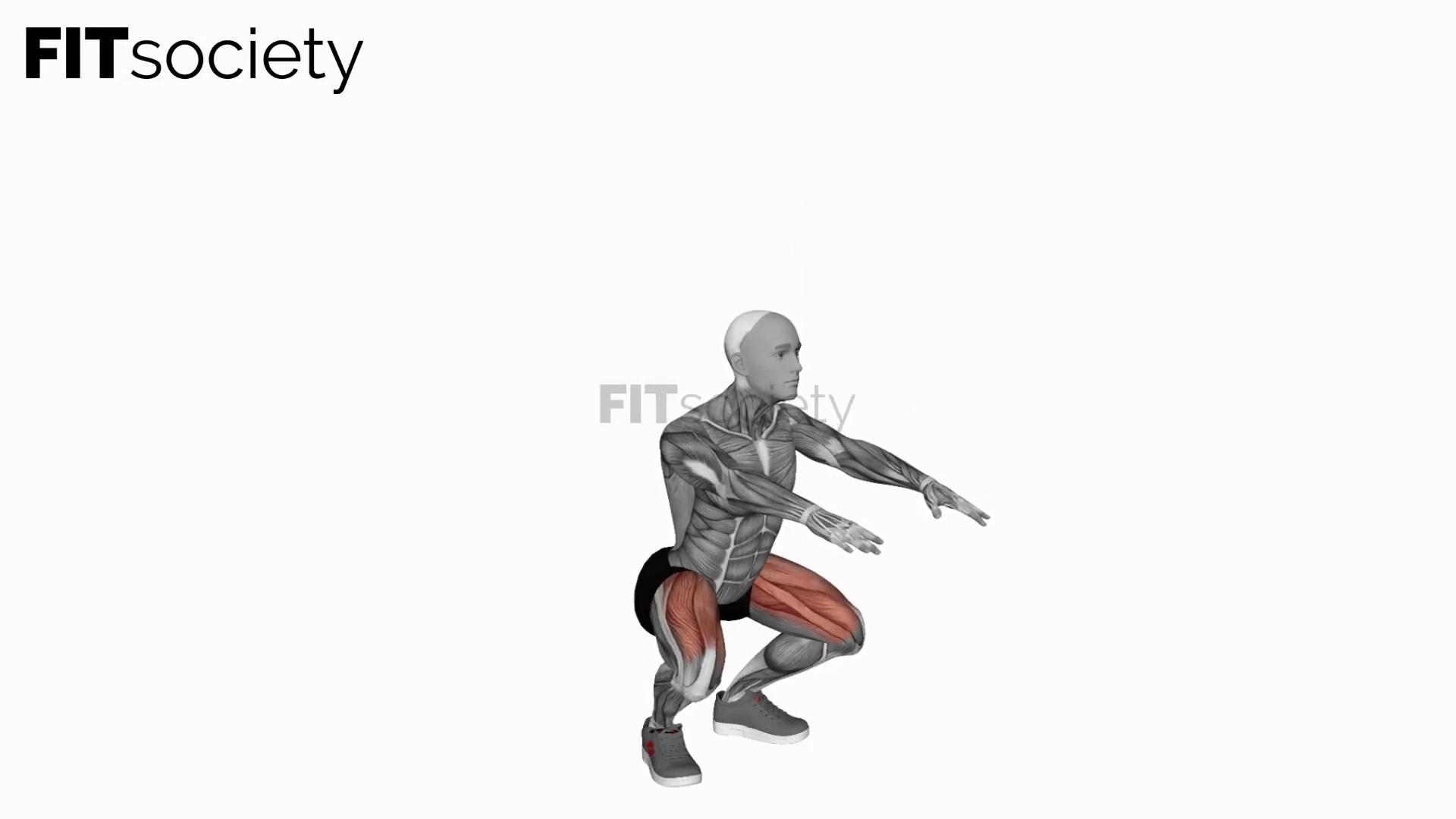 Bodyweight Pulse Squat