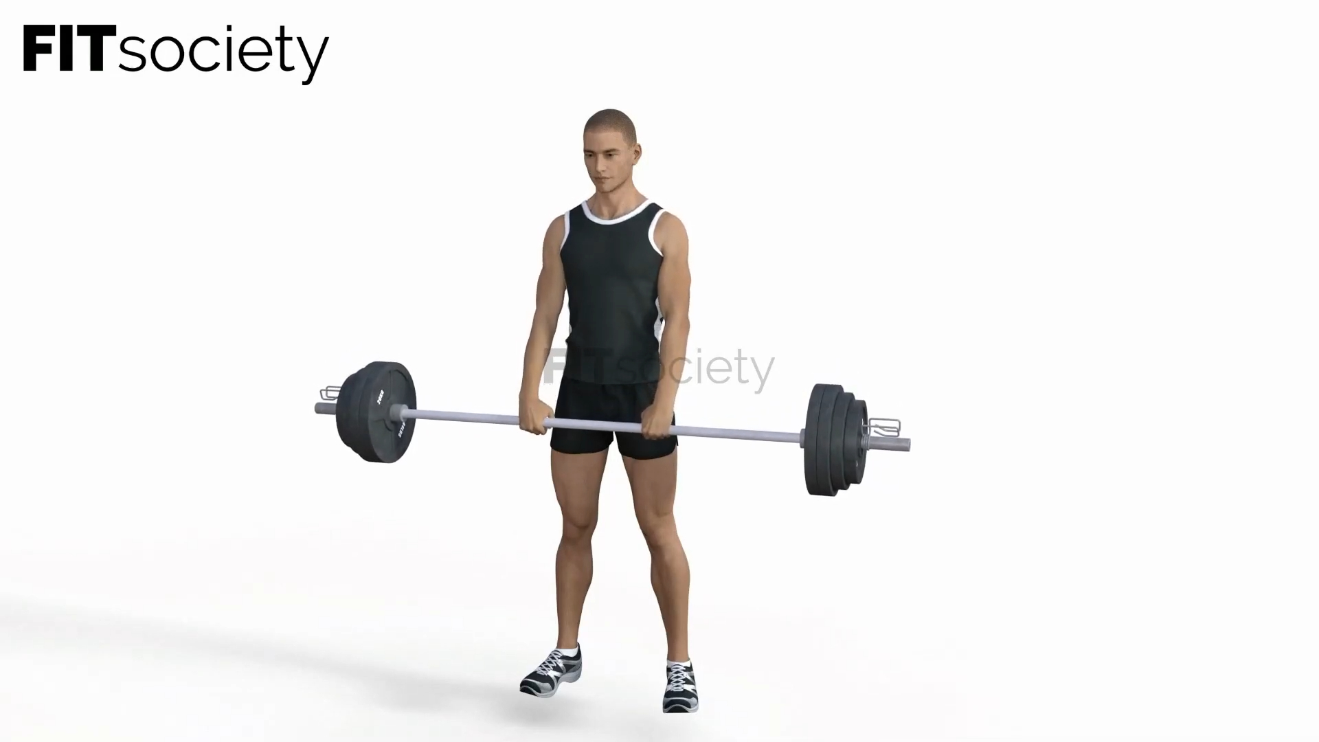 Barbell Shrugs