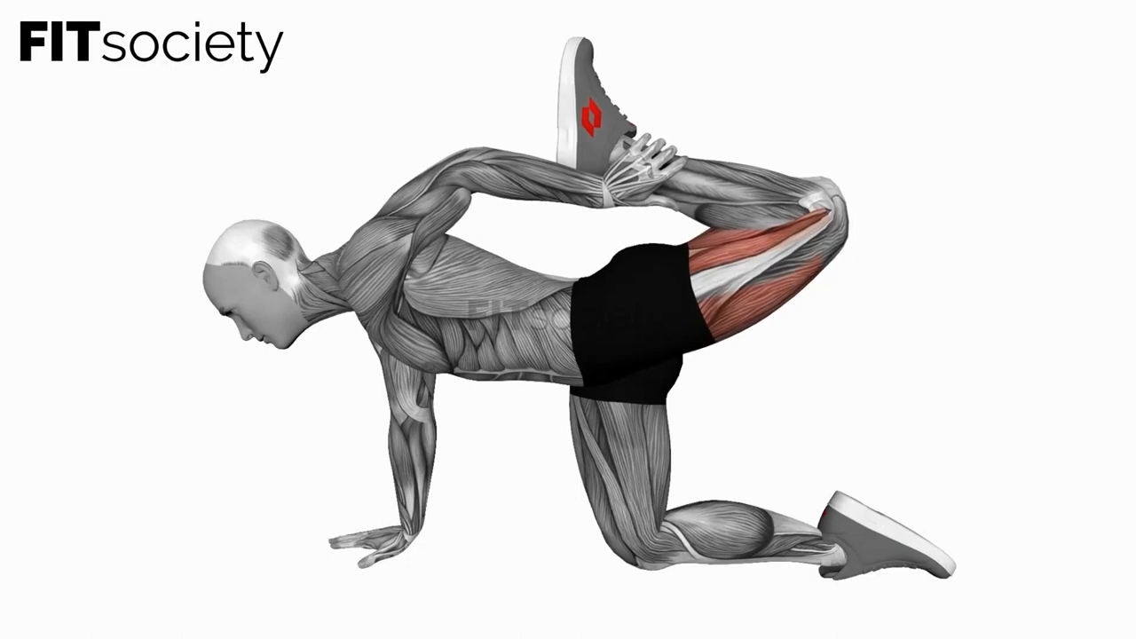 All Fours Quad Stretch