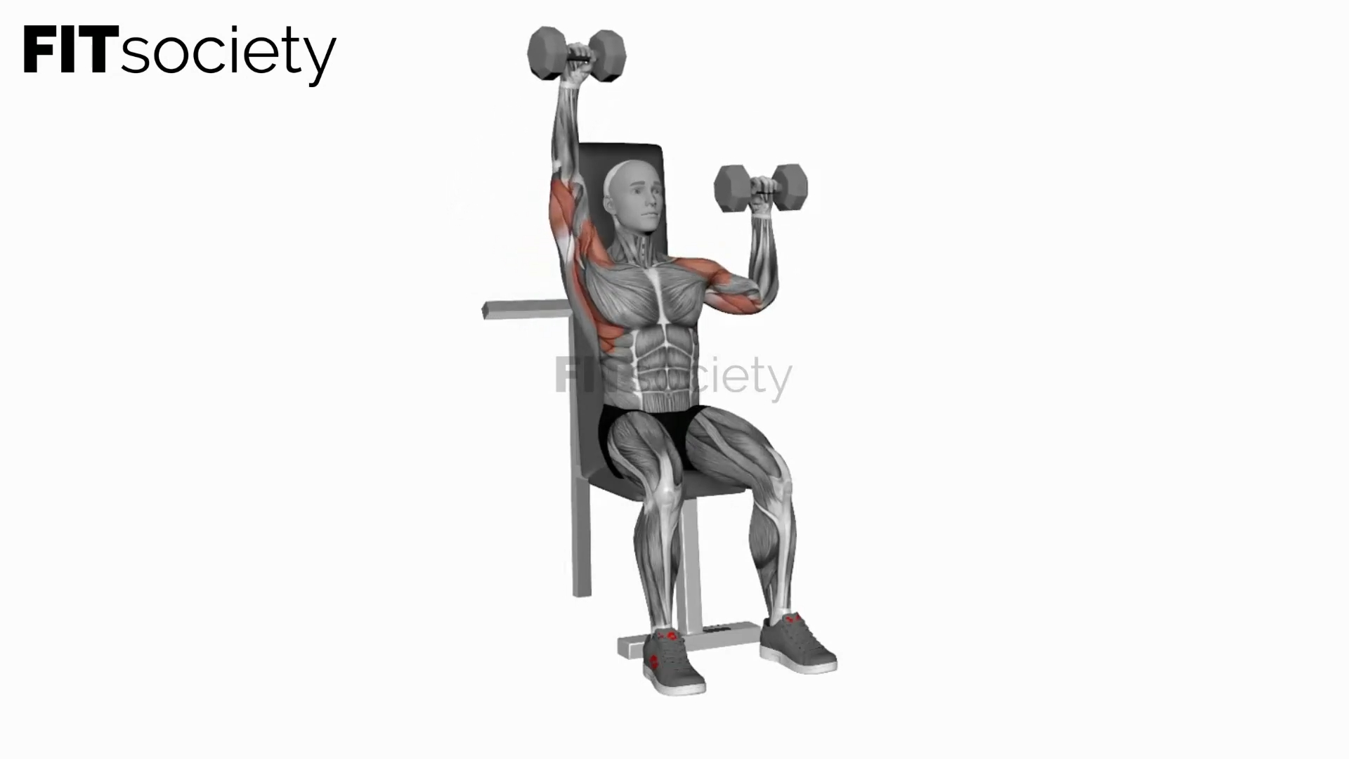 Dumbbell Seated Alternate Shoulder Press
