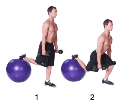 Split Squat (On Stability Ball)