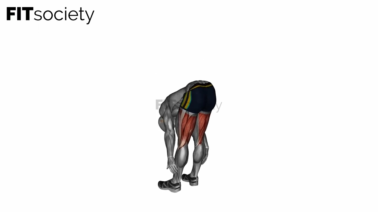 Standing Bow Hamstring Stretch