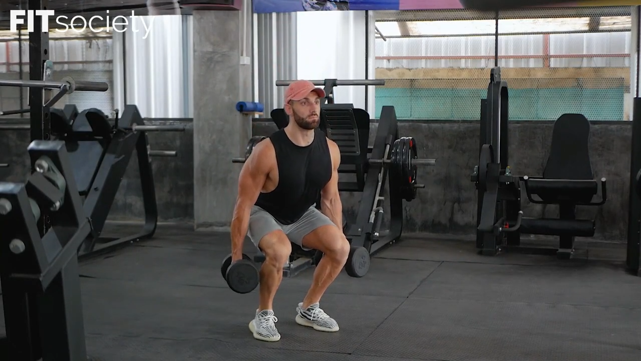Dumbbell Squats