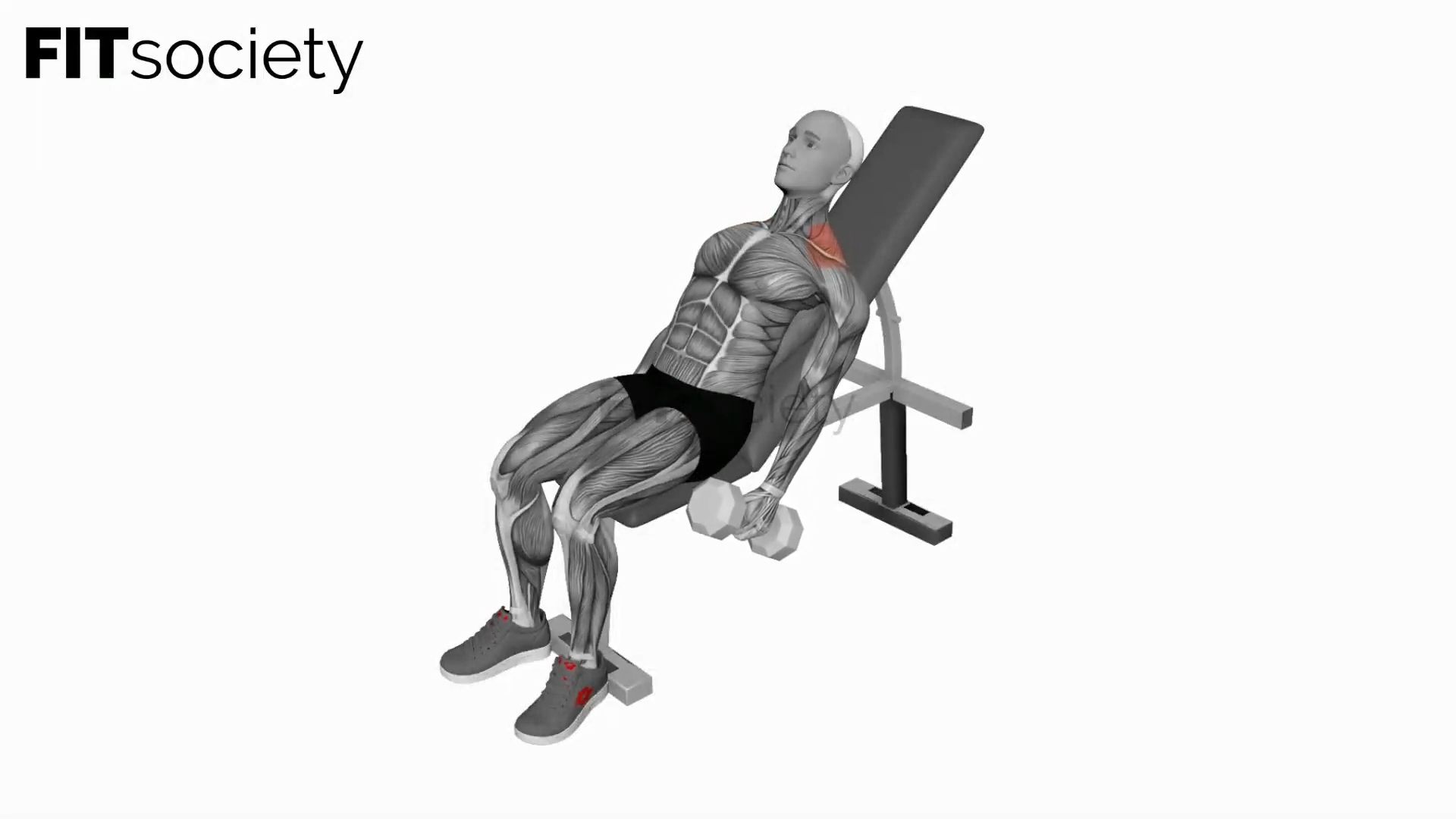 Dumbbell Incline Shrug