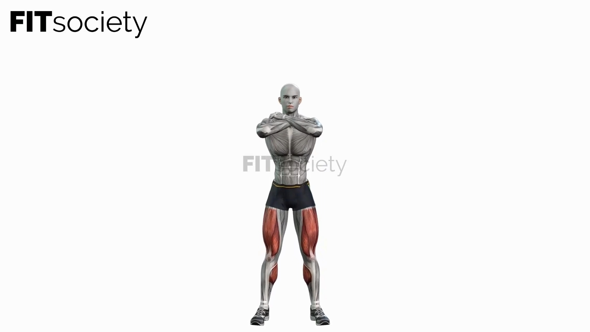 Bodyweight Squats