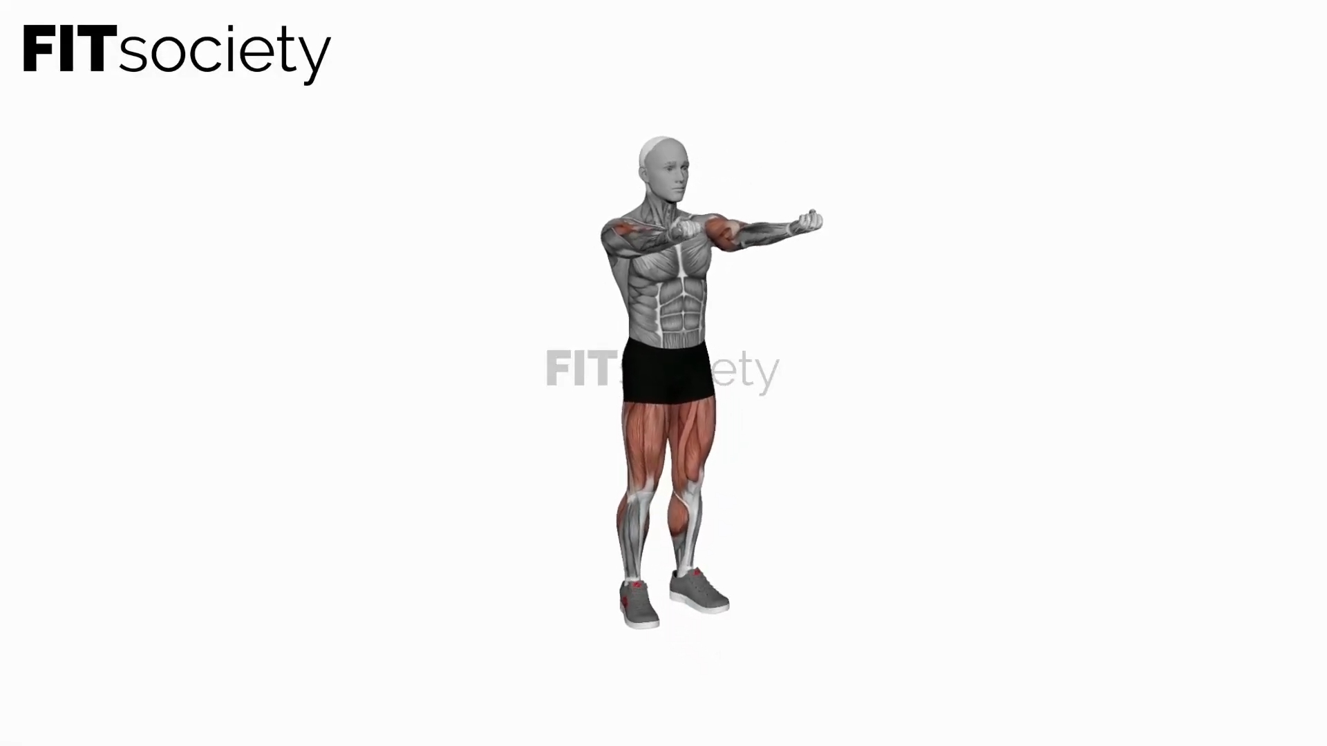Biceps Curl Front Step