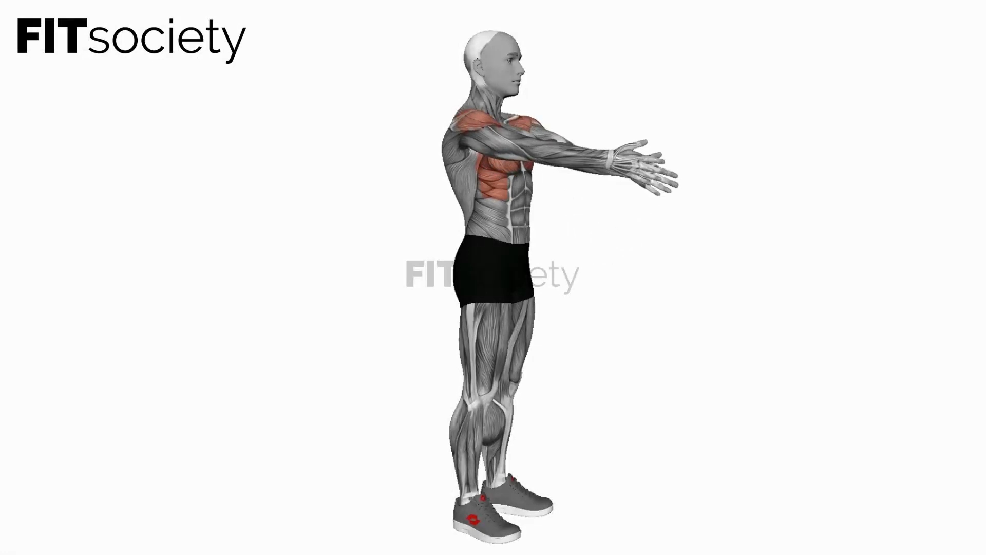 Criss Cross Arms Lift