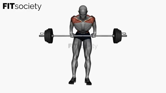 Rowing barre buste penché, prise pronation