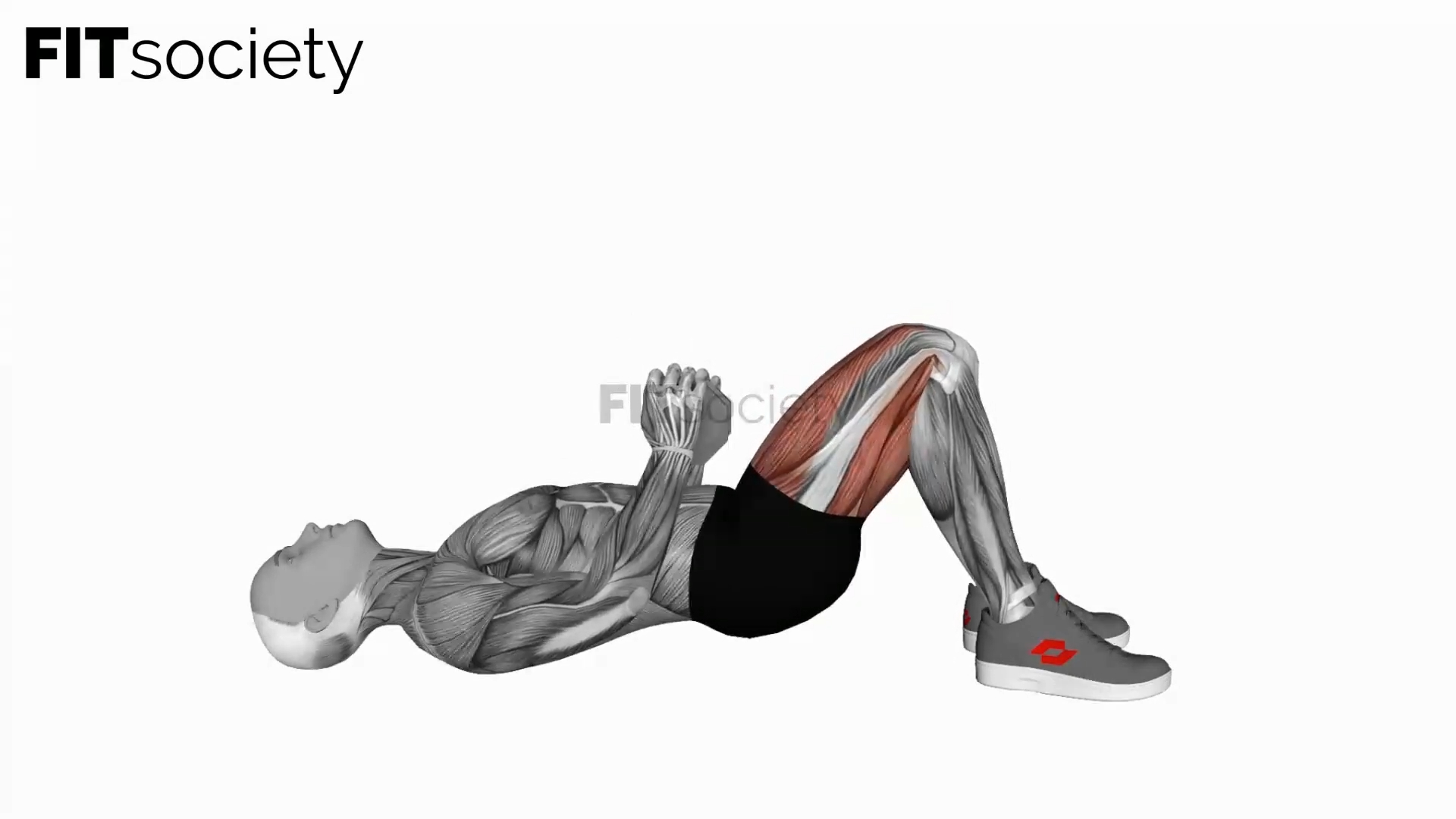 Dumbbell Glute Bridge