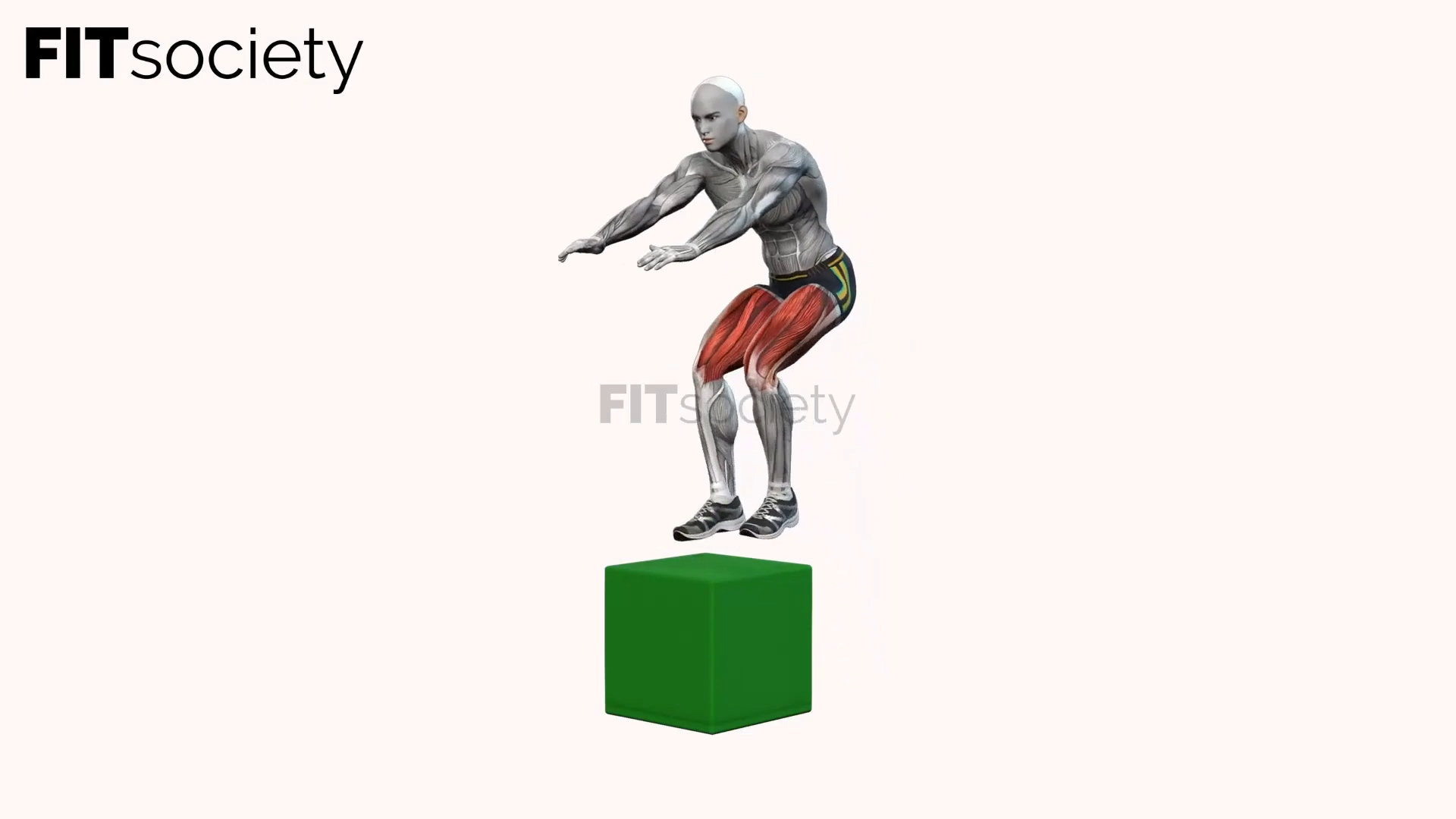 Box-Jump-Kniebeugen
