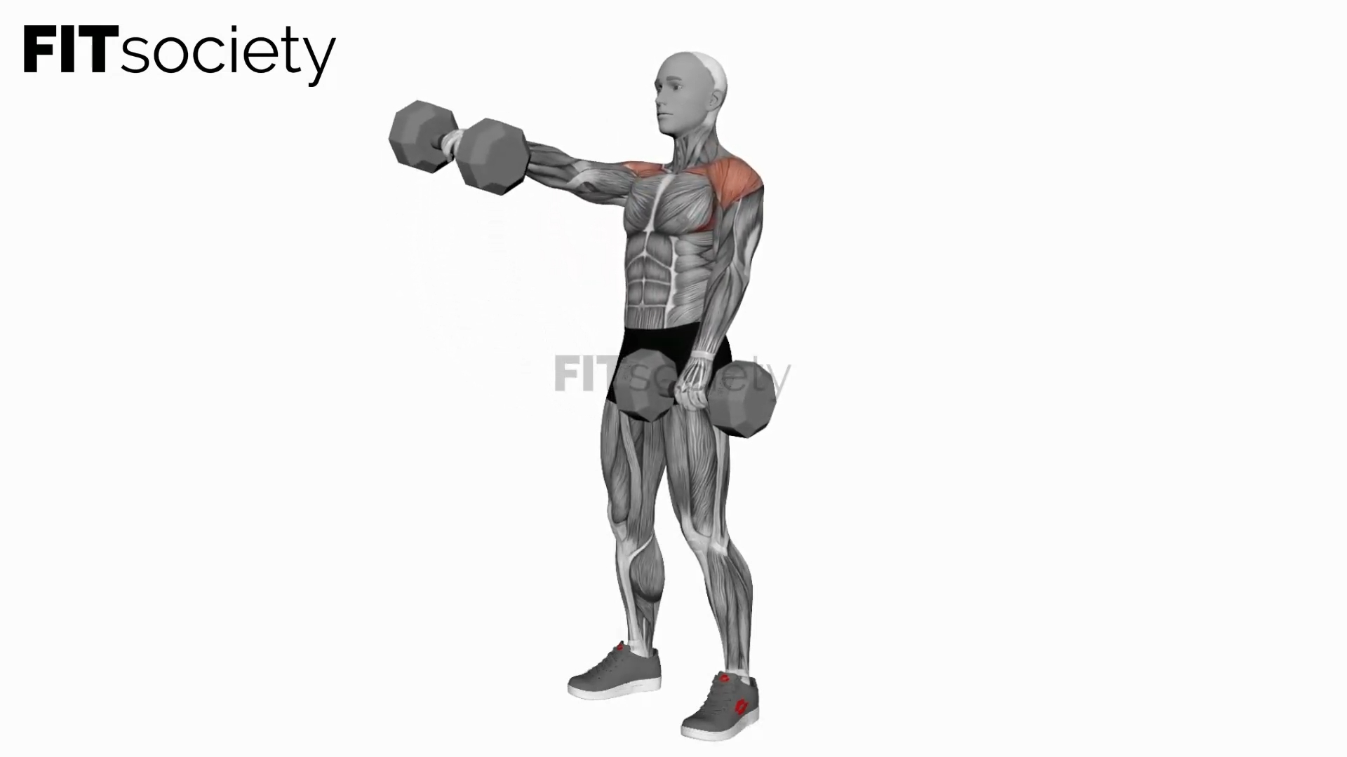 Dumbbell Standing Alternate Raise