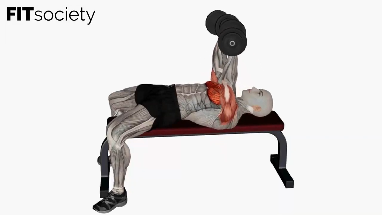 Flat Dumbbell Chest Press