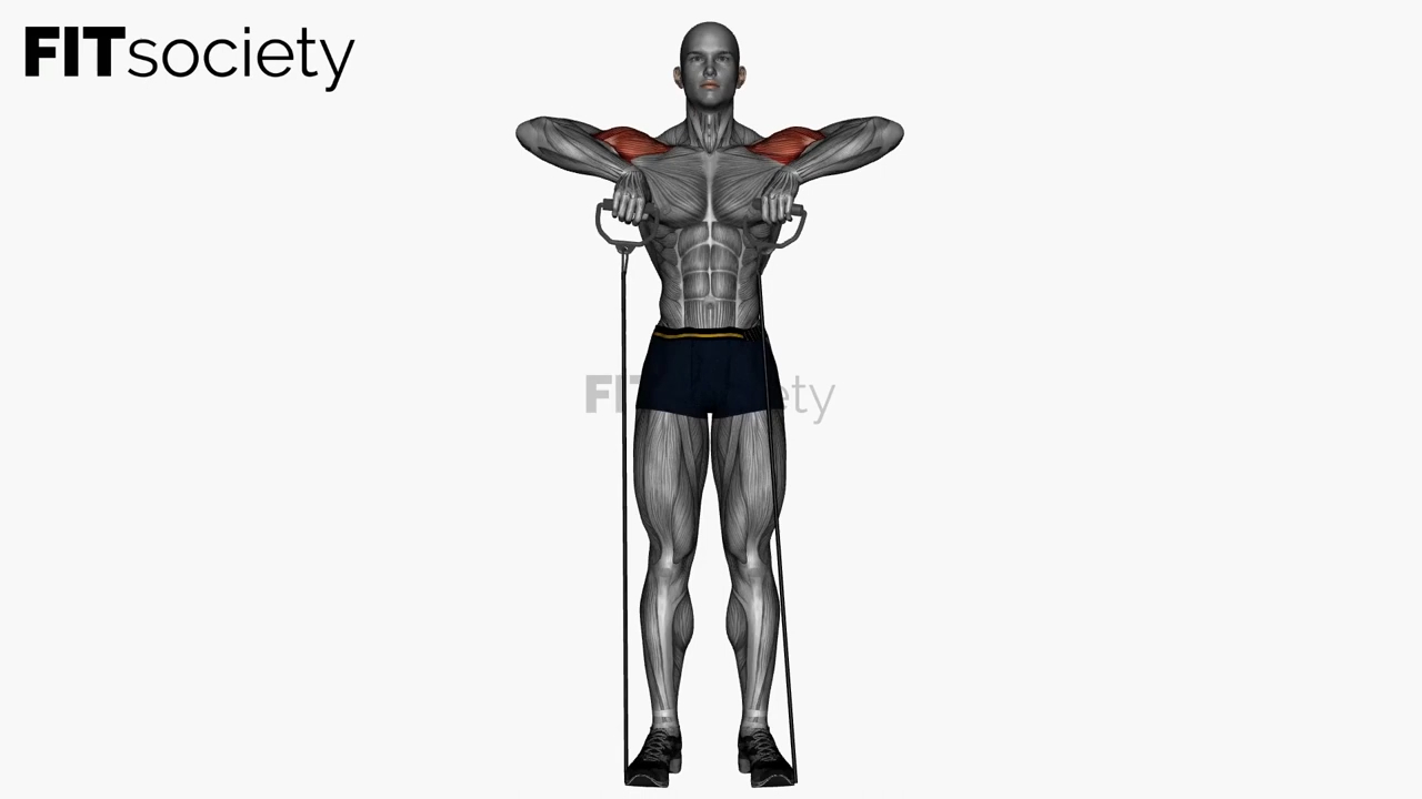 Upright Row with a Cable Resistance Band