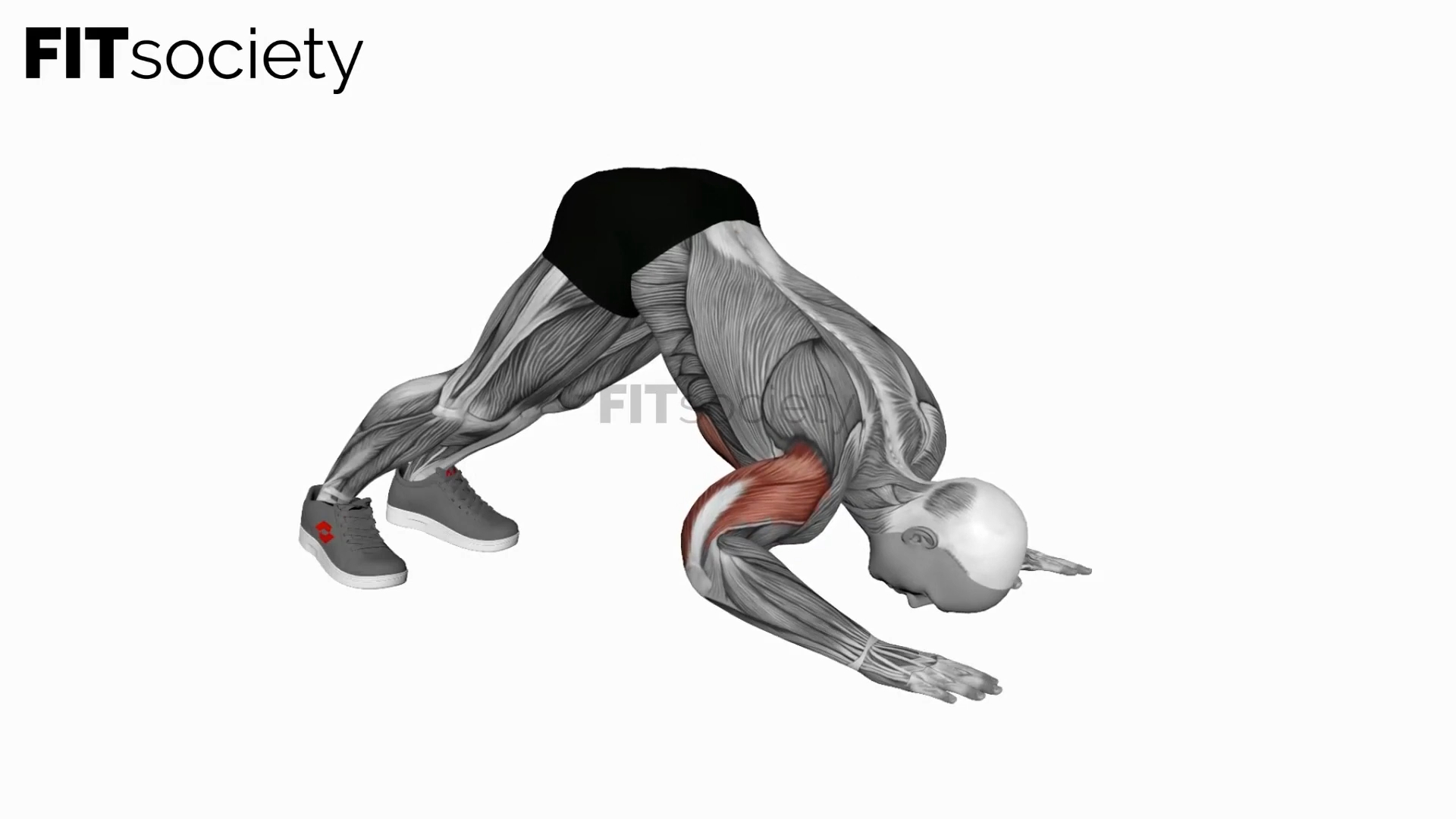 Pike Push Up