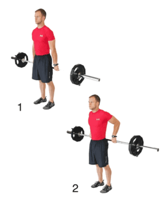 Barbell Rear Delt Raise