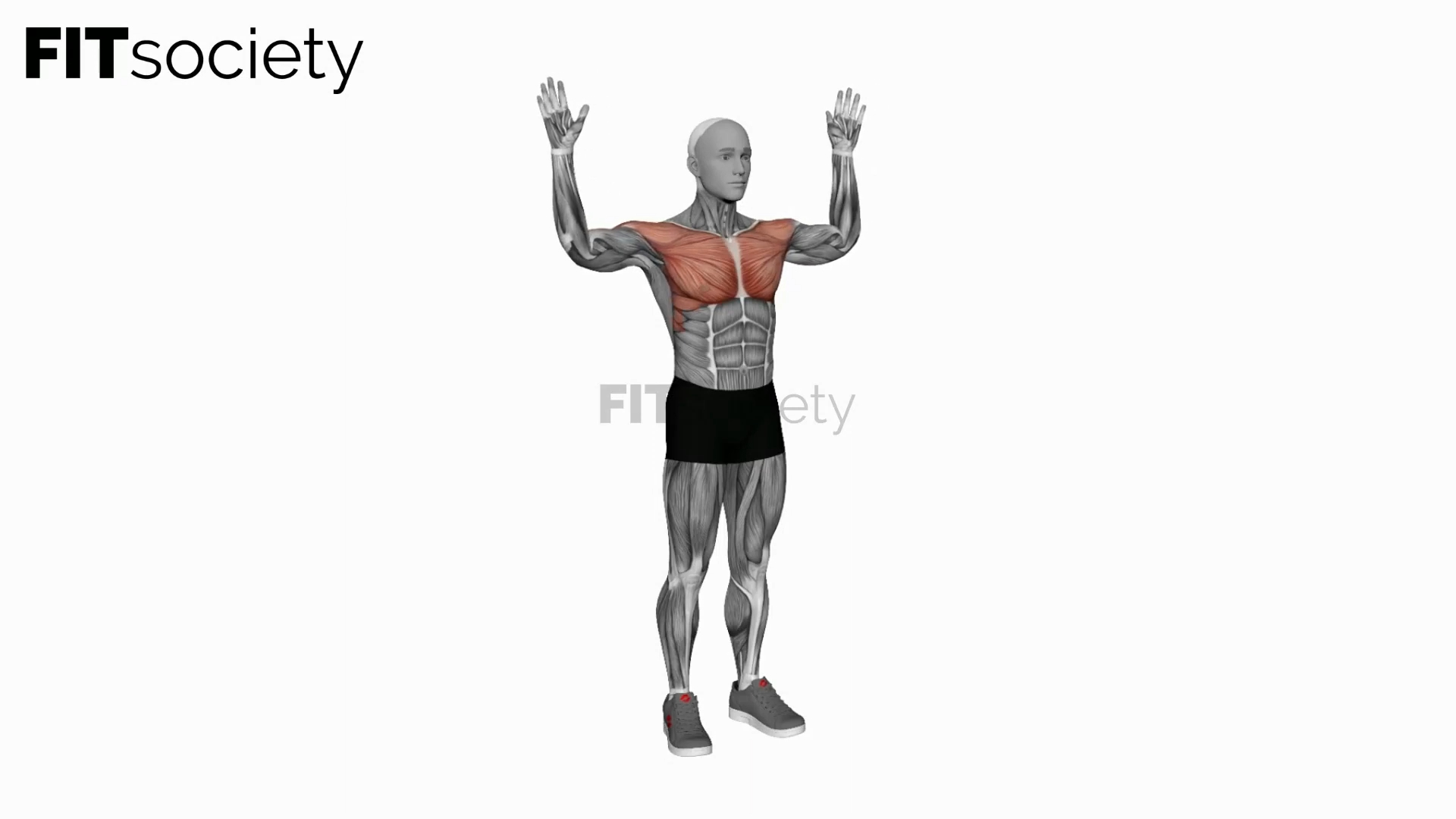 Bodyweight Standing Fly