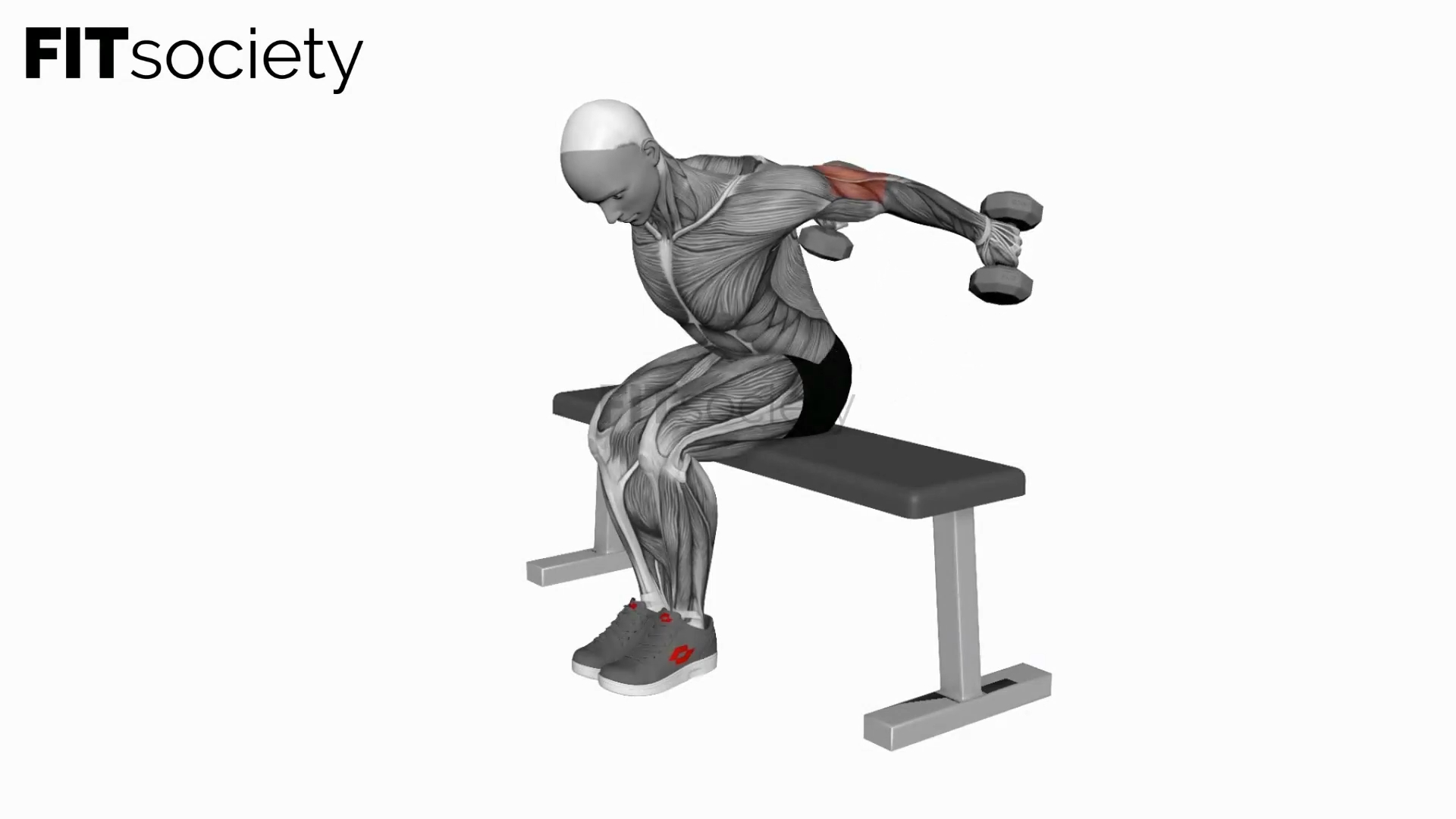 Dumbbell Seated Kickback