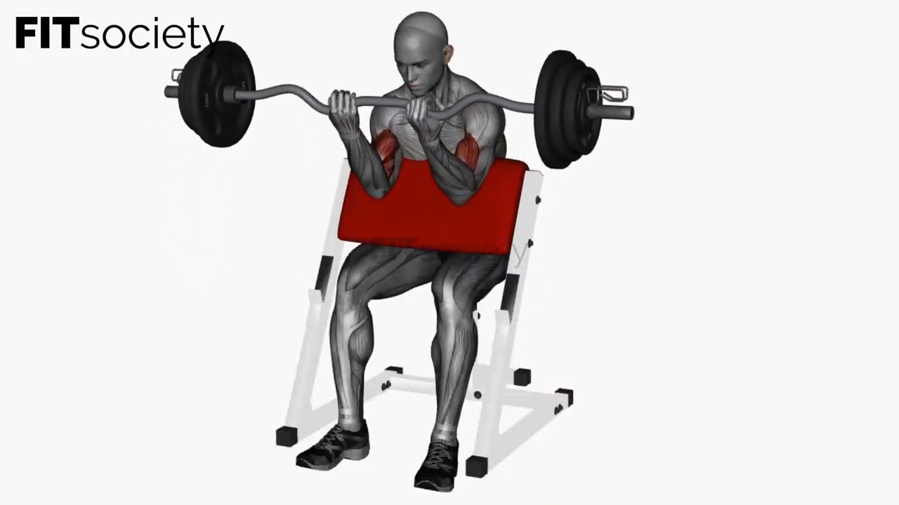 Preacher Curl Ez Bar Close Grip