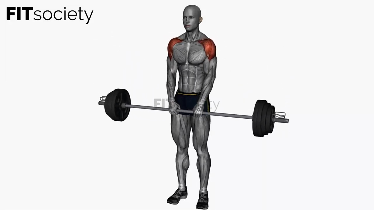 Barbell Upright Row