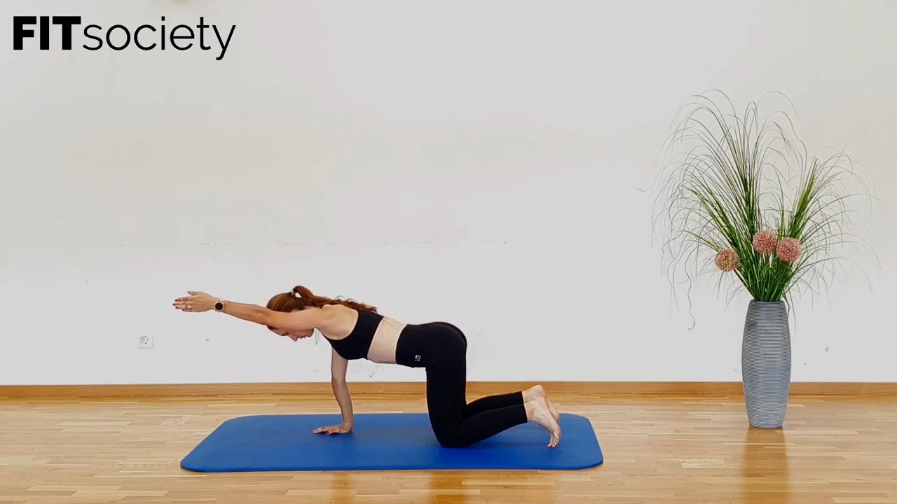 Quadruped Arm Extension