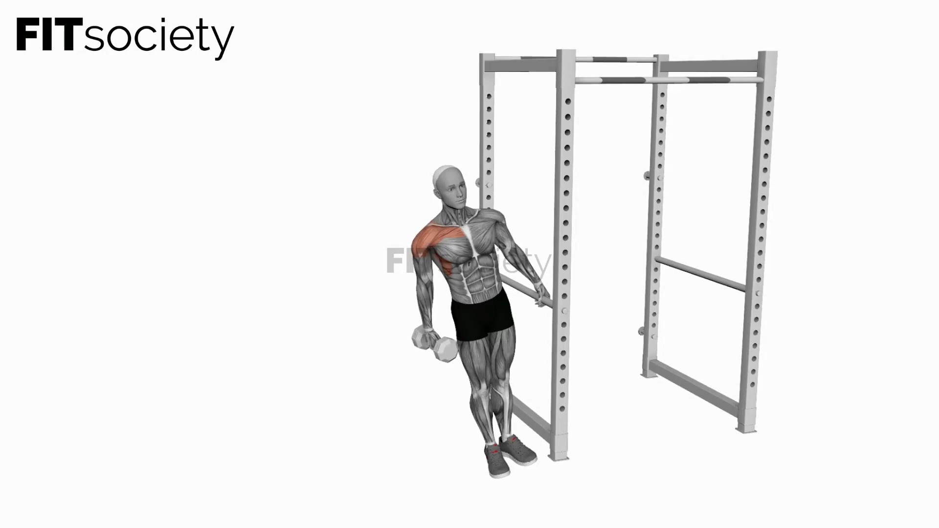 Dumbbell Single-Arm Leaning Lateral Raise
