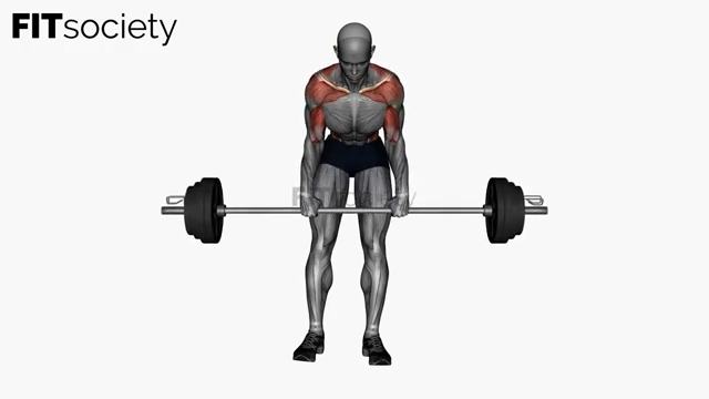 Rowing barre buste penché, prise pronation