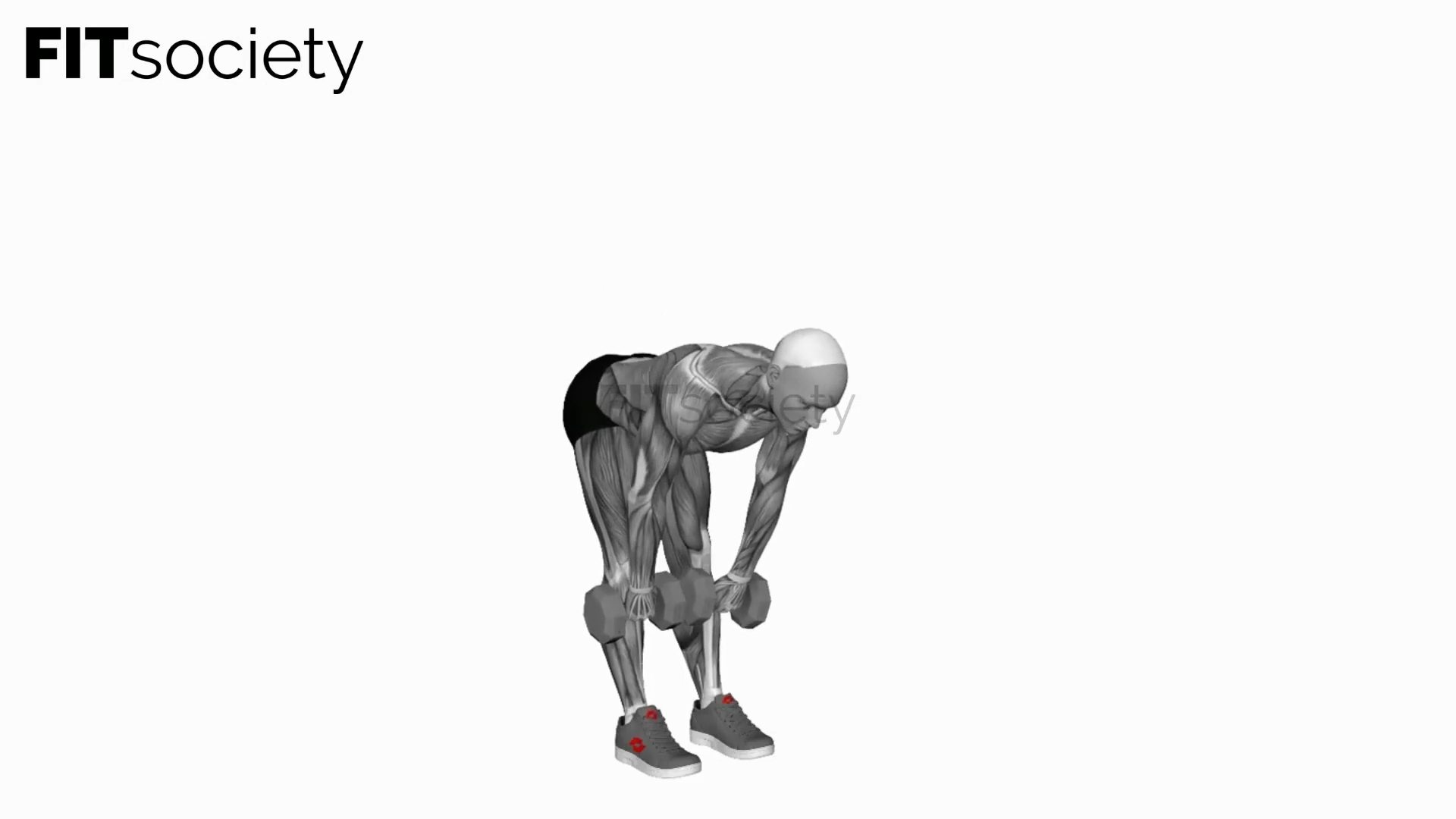 Dumbbell Stiff Leg Deadlift