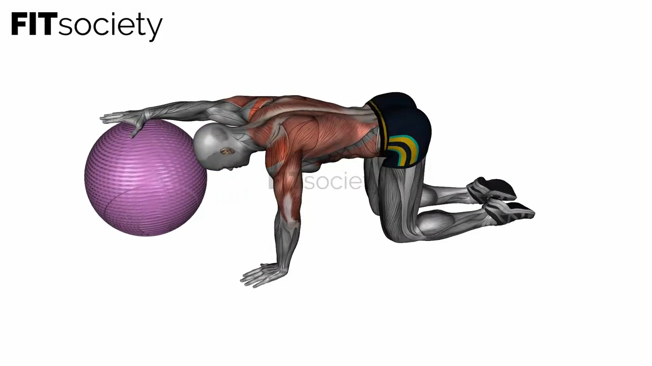 Exercise Ball Lat Stretch