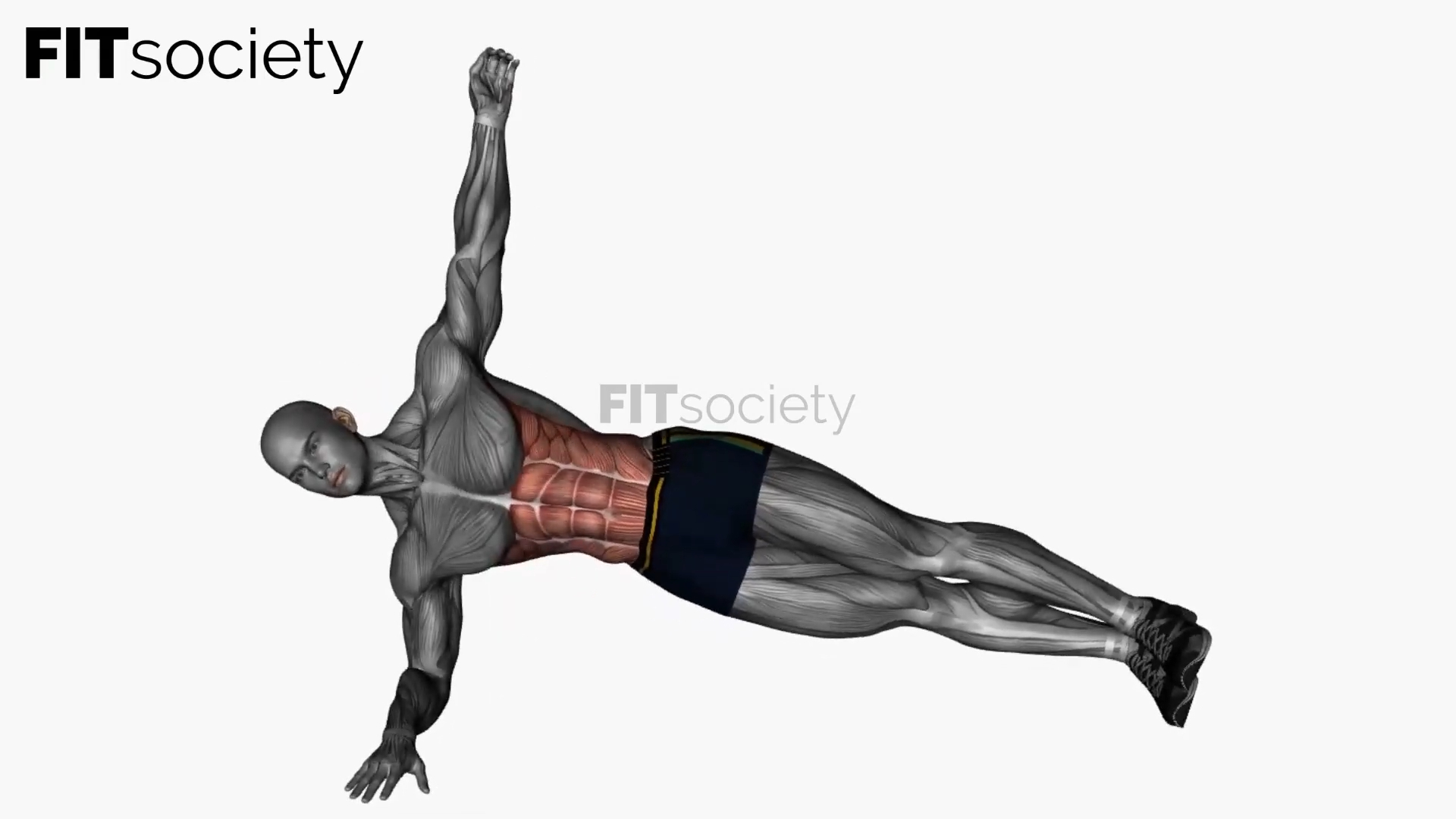 Plank Reach Through