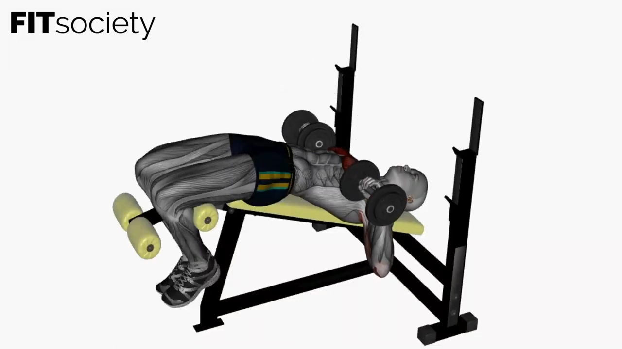 Dumbbell Chest Press Decline