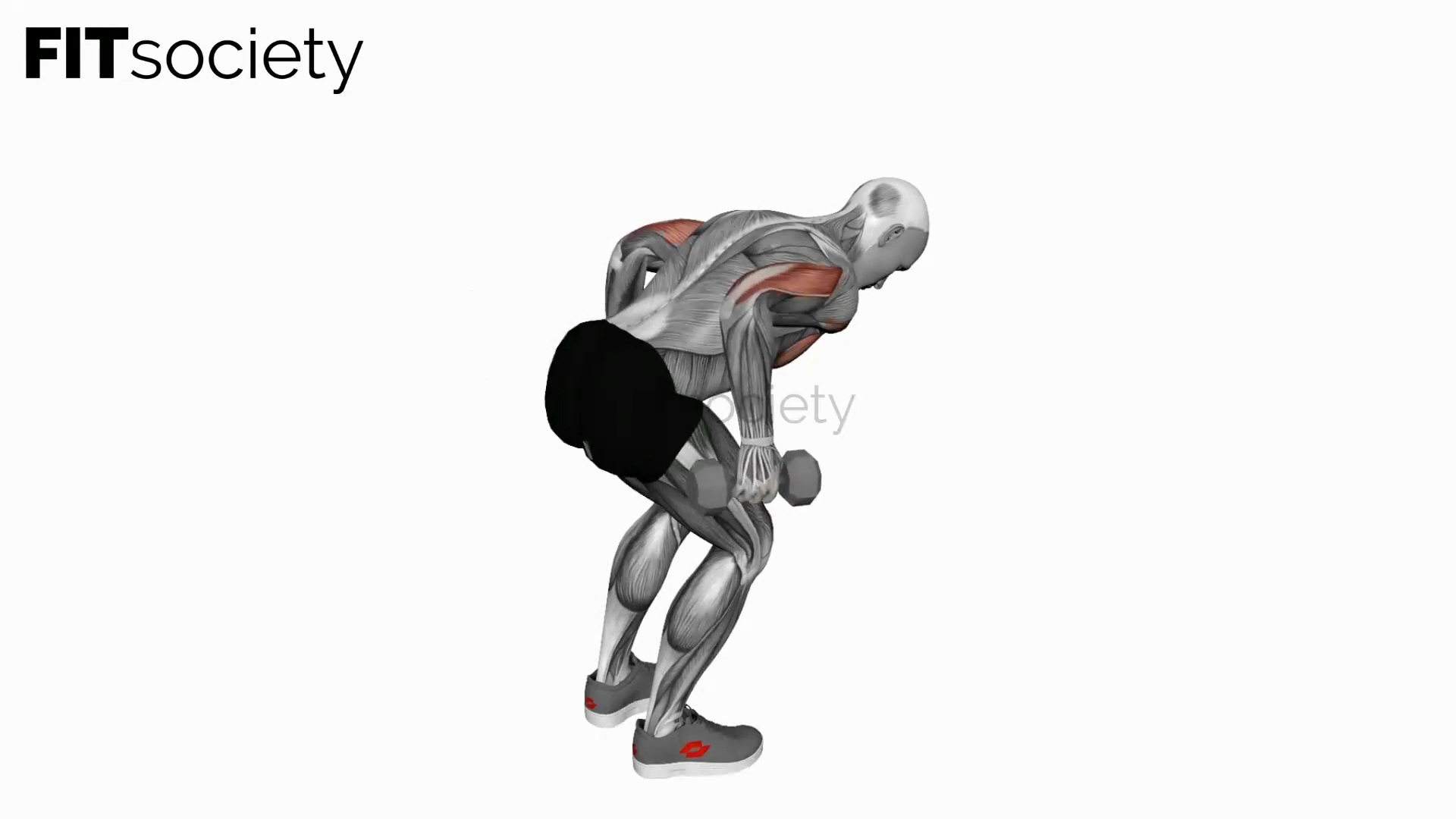 Dumbbell Standing Both Arms Kickback