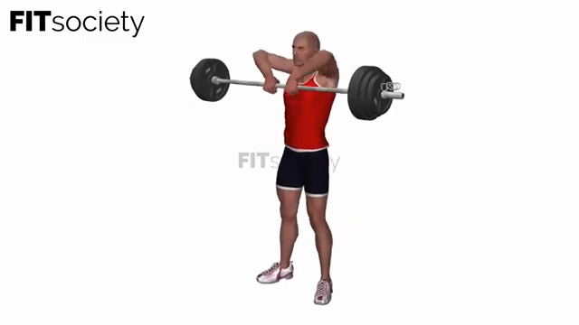 Barbell Pull