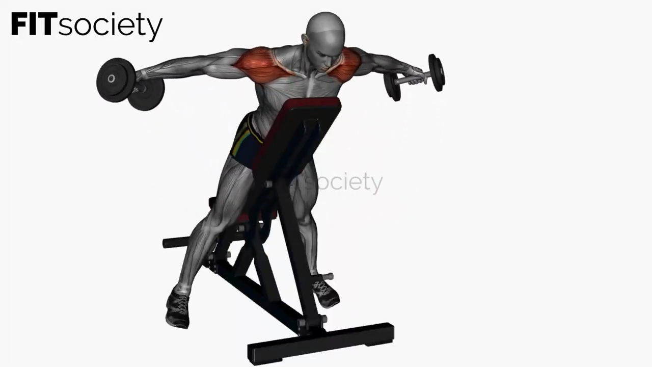 Prone Dumbbell Lateral Raise on Bench