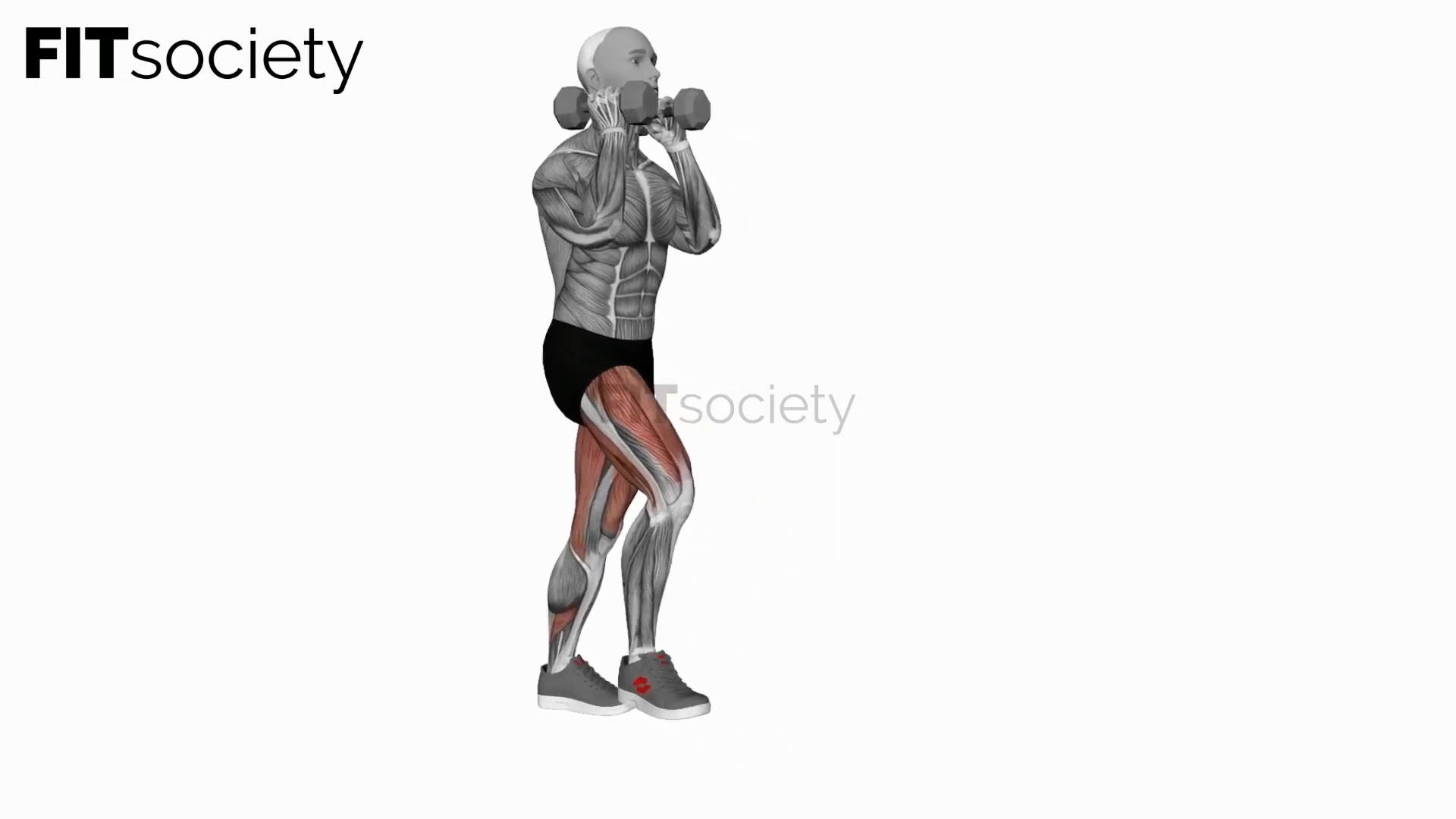 Dumbbell Front Rack Lunge