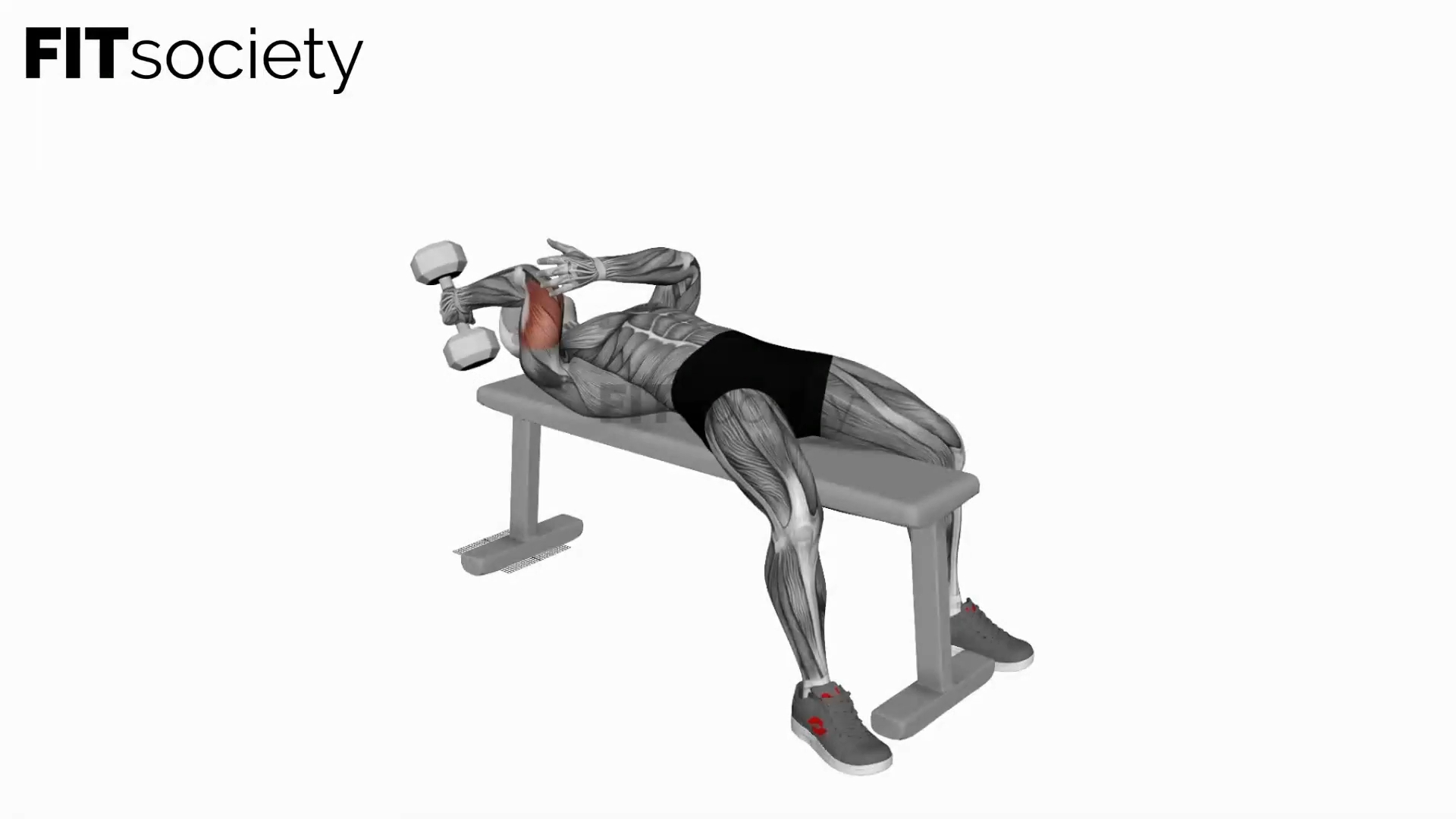 Dumbbell Lying One Arm Supinated Triceps Extension