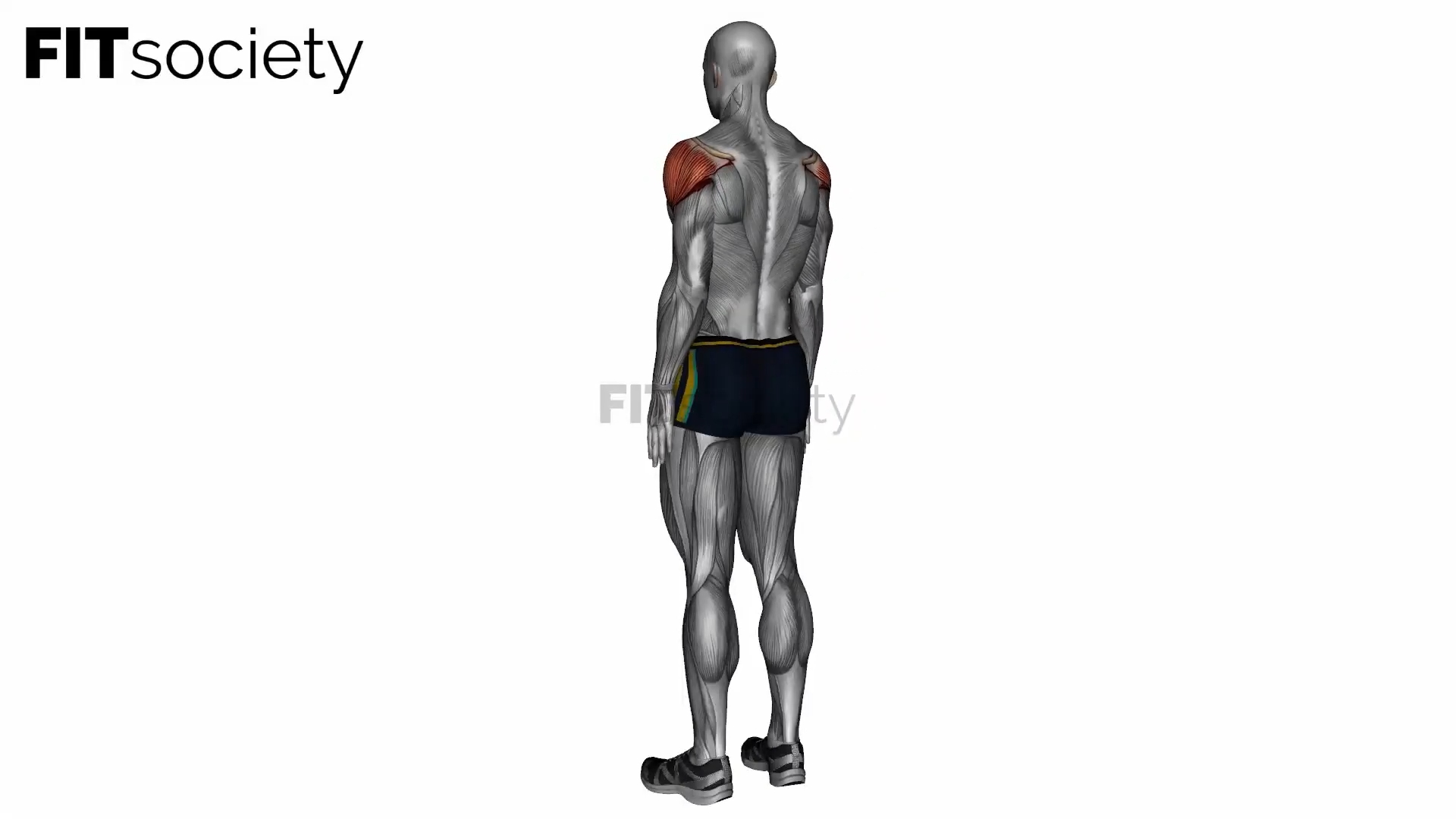 Estiramiento del flexor del hombro con un brazo