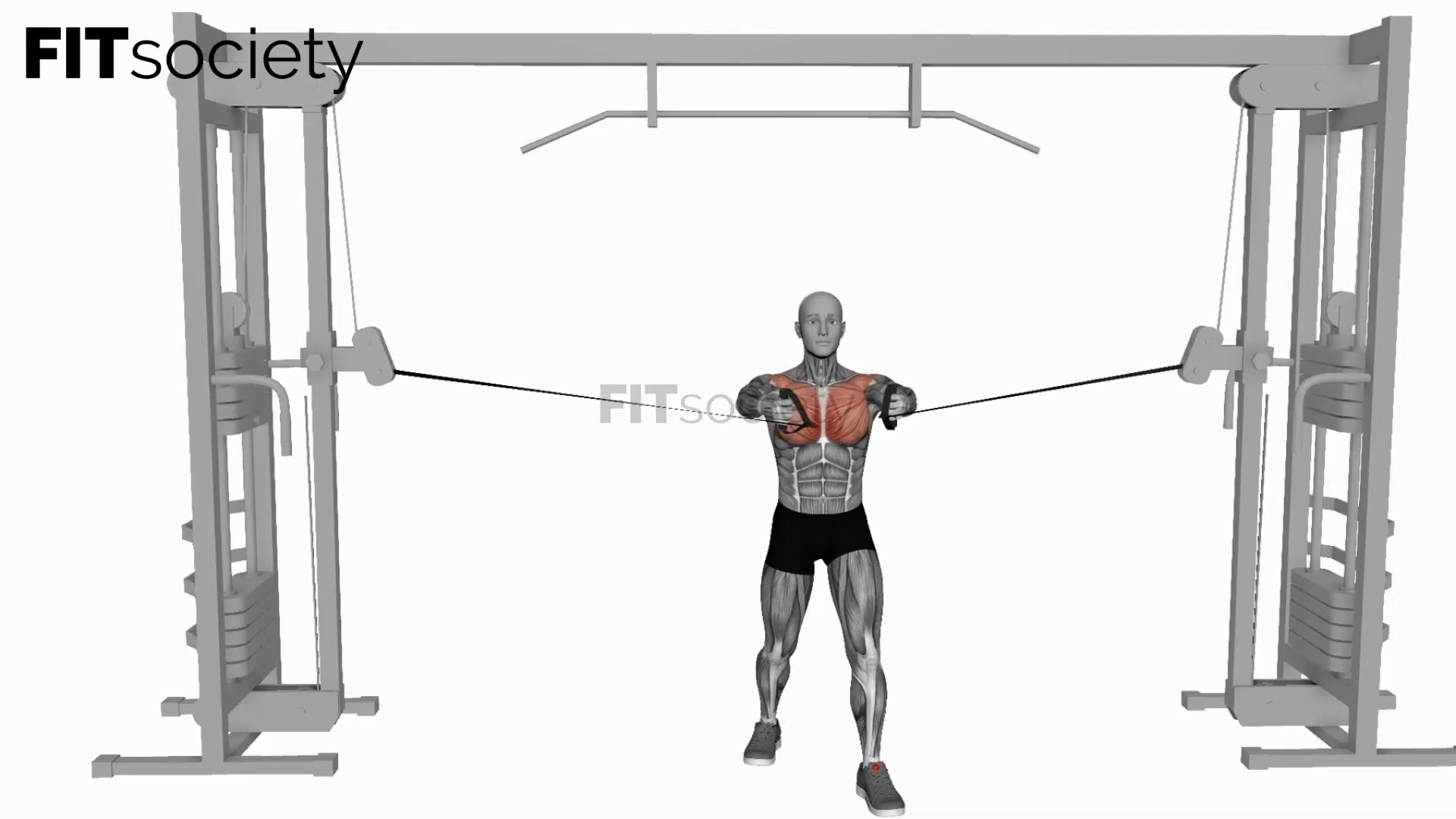 Cable Middle Fly