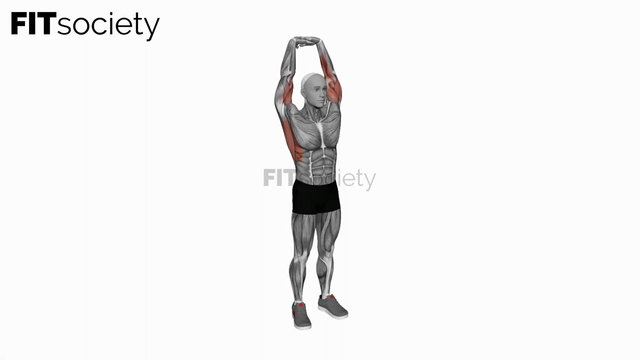 Ez Bar Seated Wrist Curl